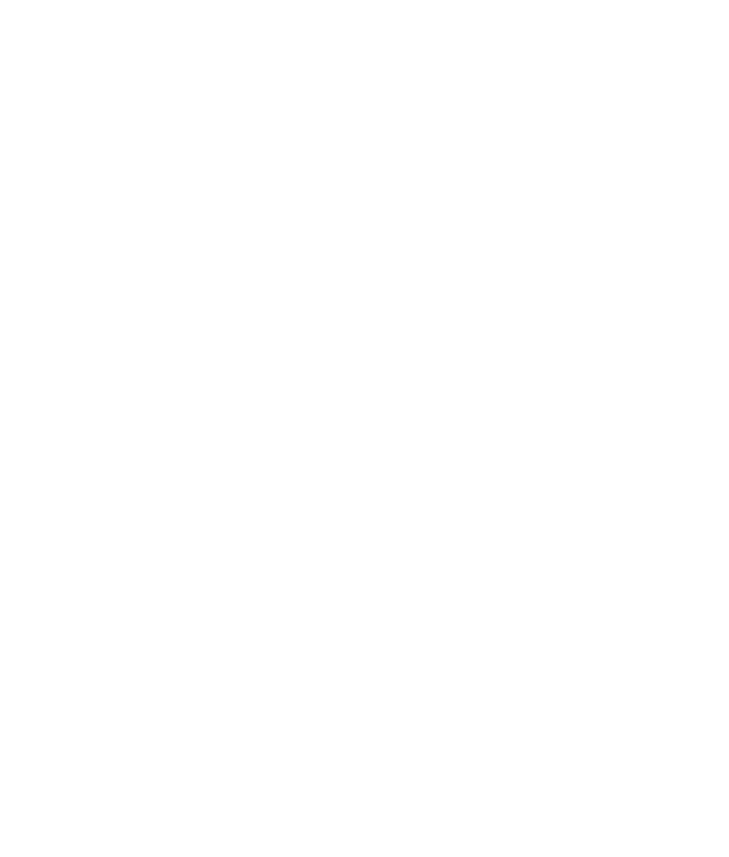 新日本舞踊幸城流